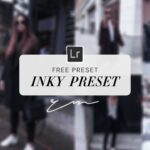 Free Inky Preset Lightroom ReinaMarie presets