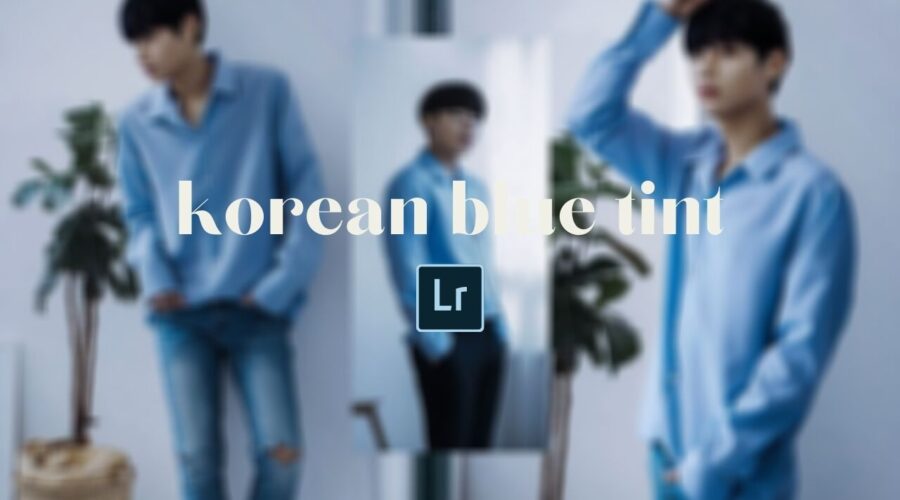 Free Korean Blue Tint Lightroom DNG Preset