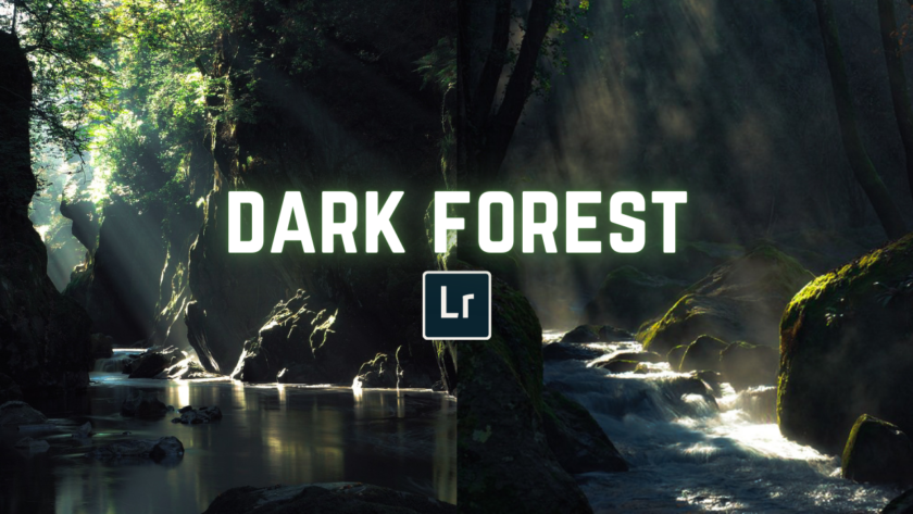 Free Dark Forest LightroomPreset