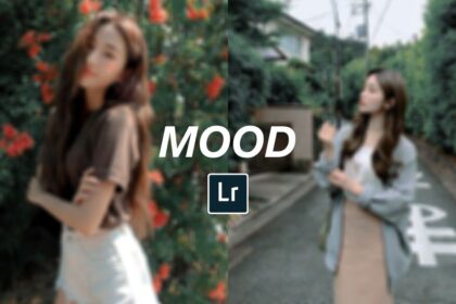 mood dark free lightroom preset