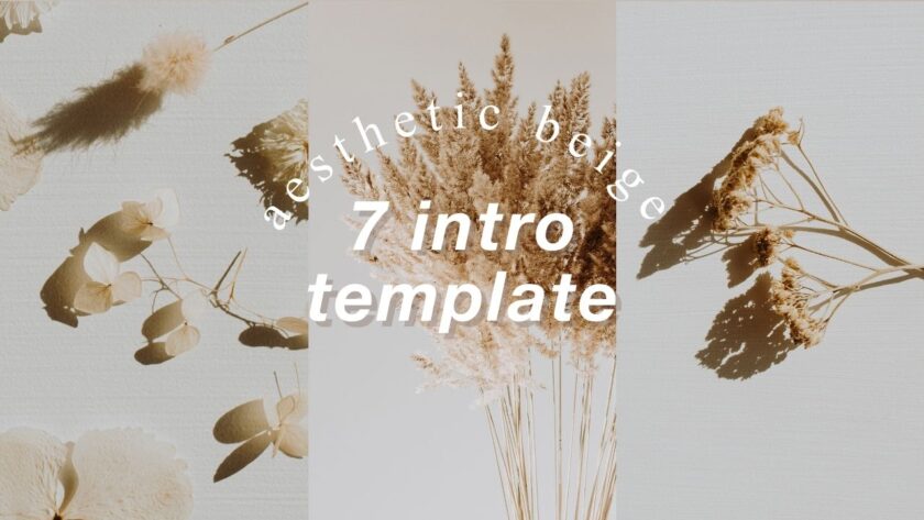 7 Aesthetic Beige Intro Template Free Download No text
