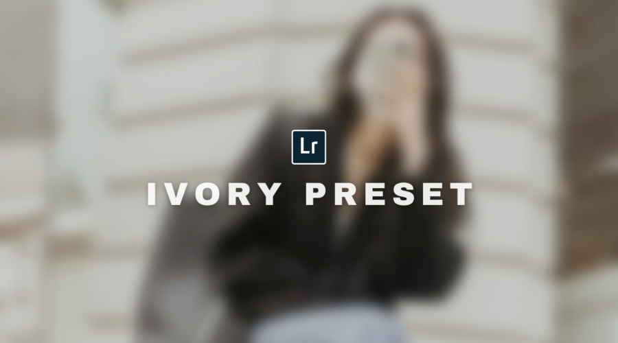 Free Beige Lightroom Preset