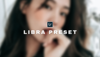 Free Lightroom Preset Libra Neutral