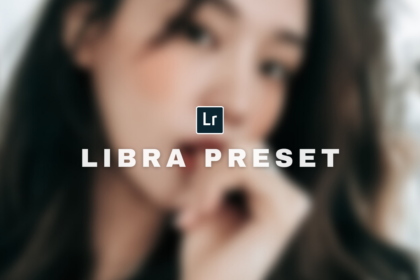 Free Lightroom Preset Libra Neutral