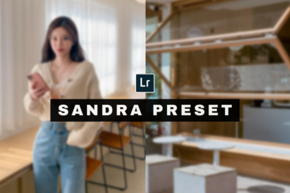 Sandra Lightroom Preset