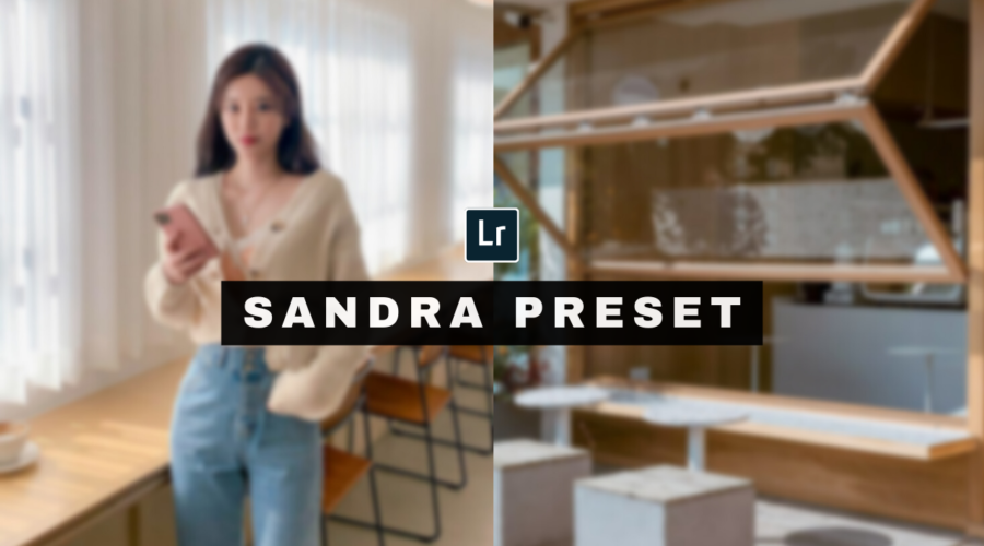 Sandra Lightroom Preset